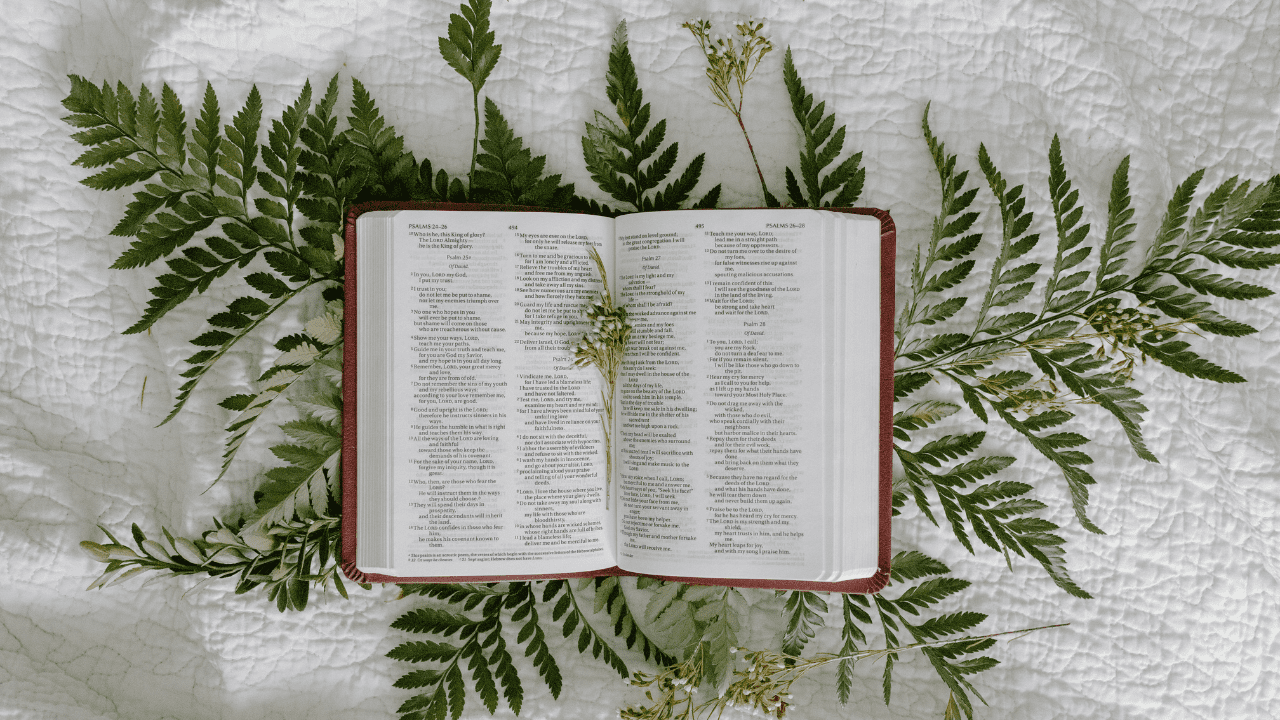Self improvment as a Christian. How self improvement as a Christian differs from the world's version of self improvement.